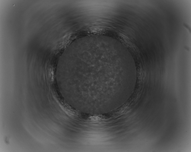 X0000102040703200807181512