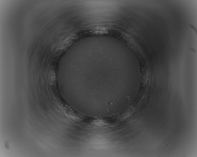 X0000102040704200807181512