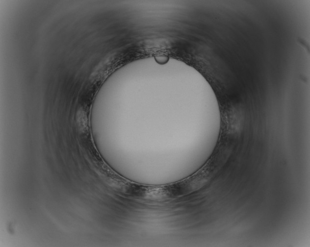 X0000102040705200807181512