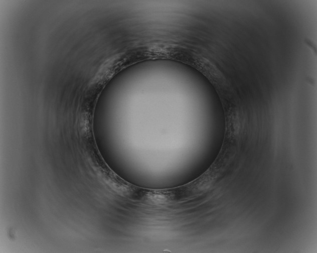 X0000102040706200807181512