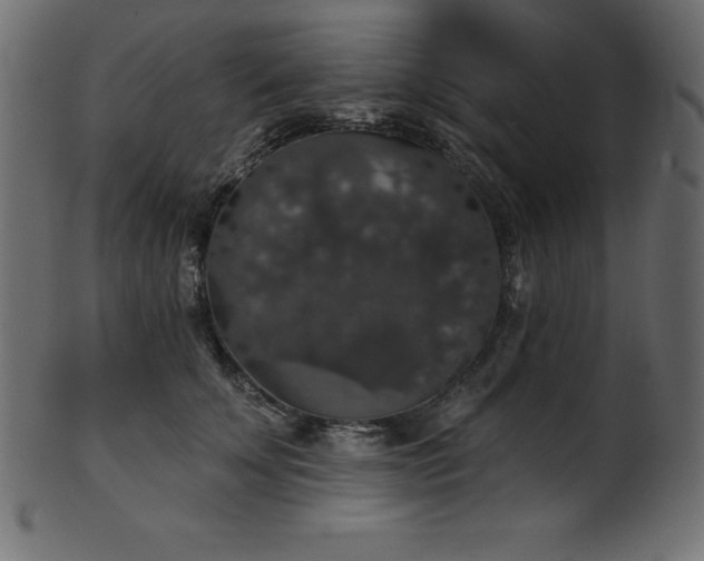 X0000102040707200807181512