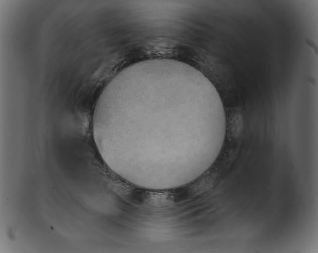 X0000102040709200807181512