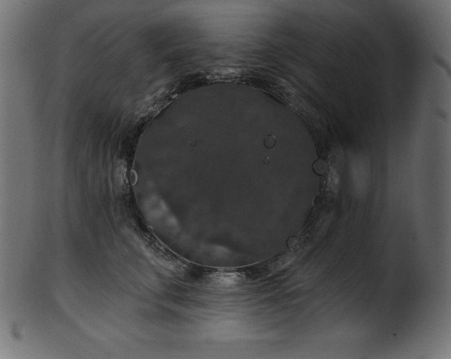 X0000102040711200807181512