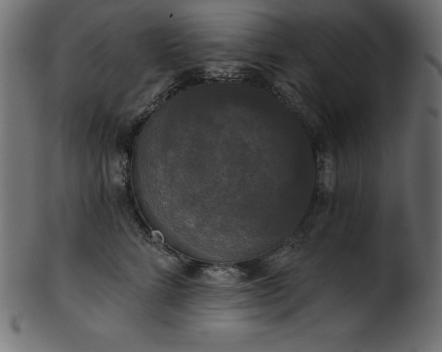 X0000102040712200807181512