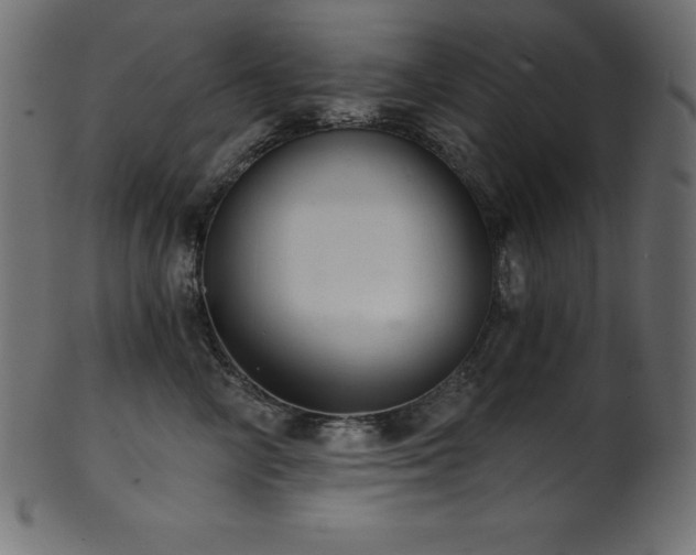 X0000102040714200807181512