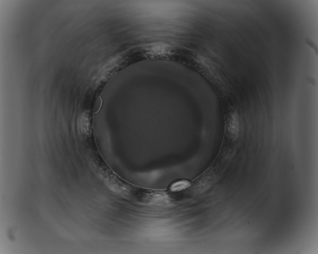 X0000102040715200807181512