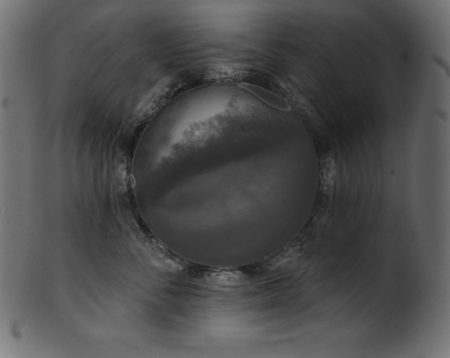 X0000102040716200807181512