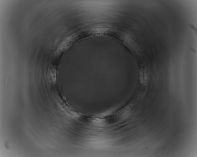 X0000102040718200807181512