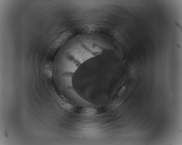 X0000102040719200807181512