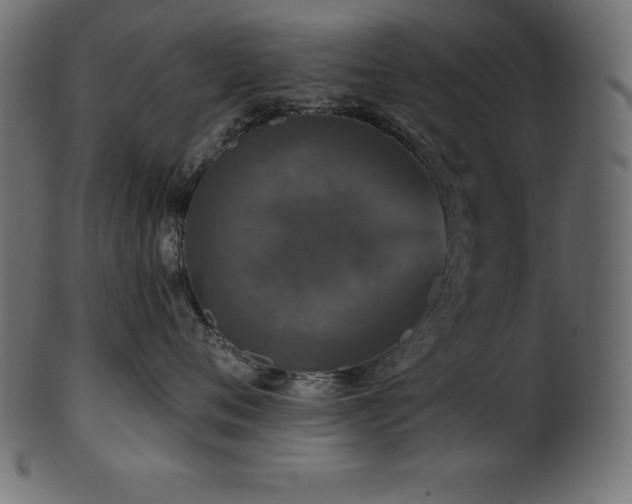 X0000102040720200807181512