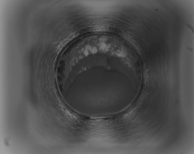 X0000102040721200807181512