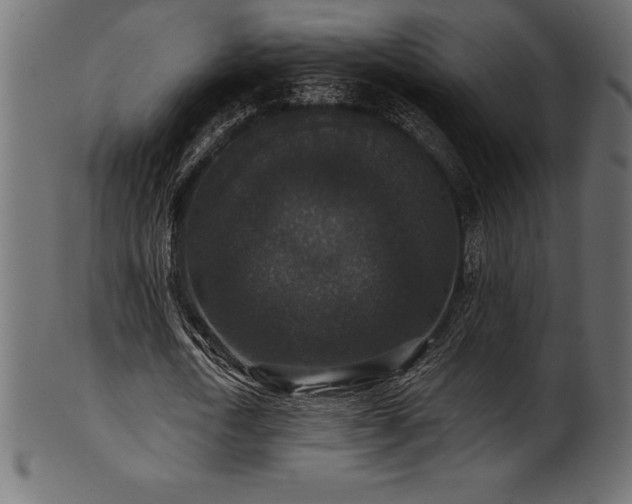 X0000102040722200807181512