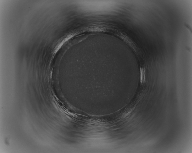 X0000102040723200807181512