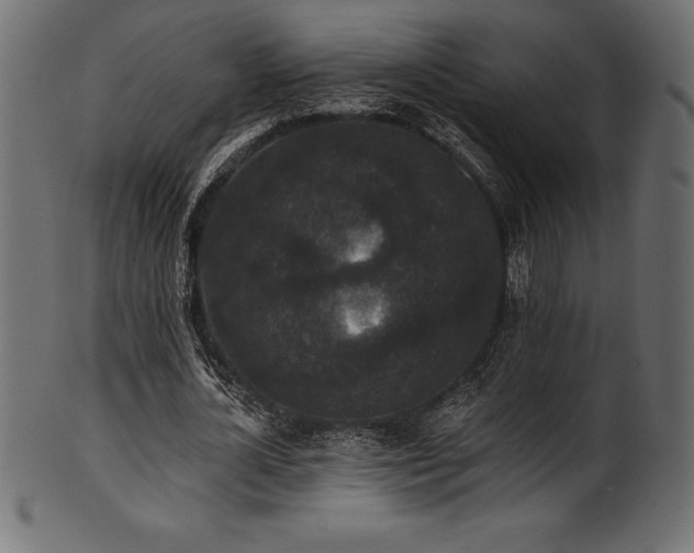 X0000102040724200807181512