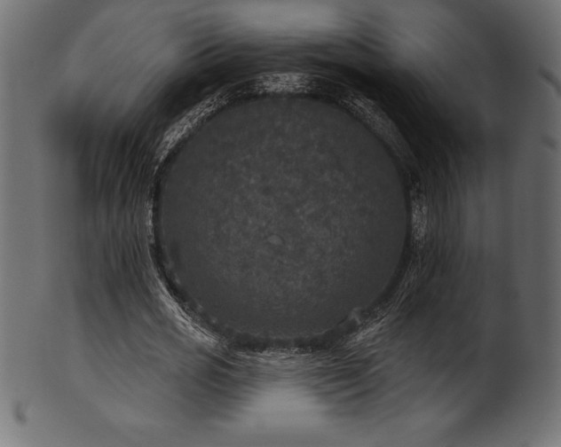 X0000102040725200807181512