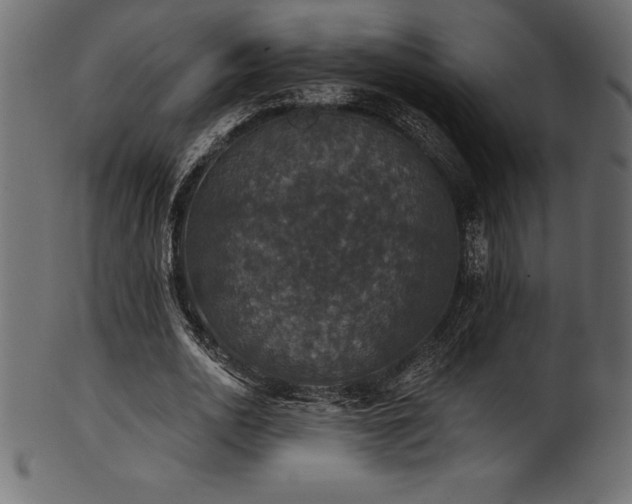 X0000102040726200807181512