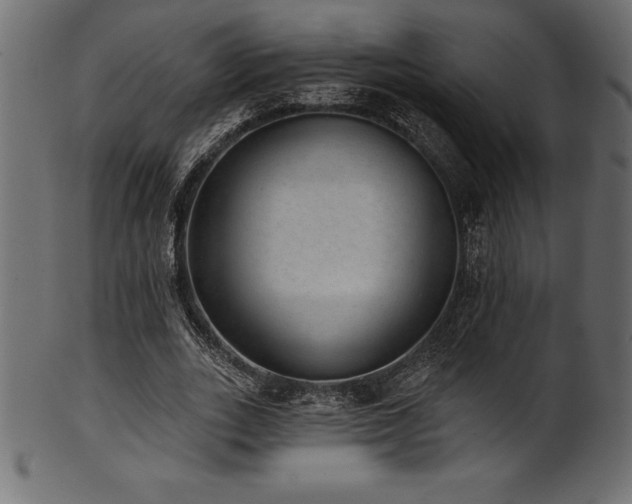 X0000102040727200807181512