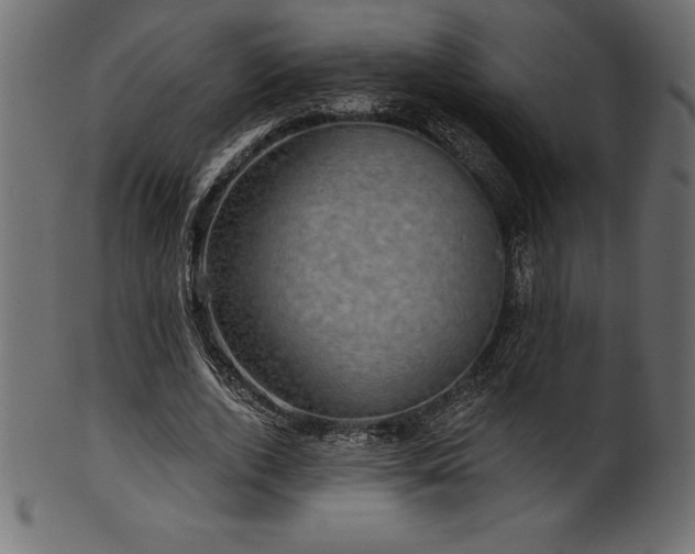 X0000102040728200807181512