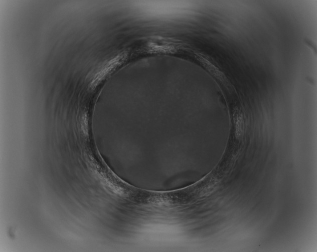 X0000102040729200807181512