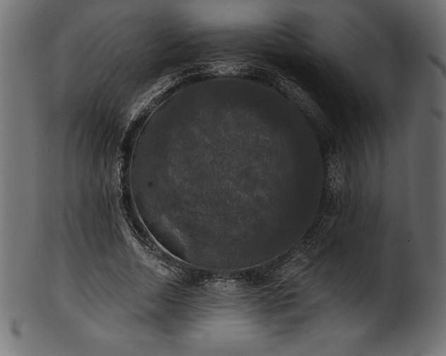 X0000102040730200807181512