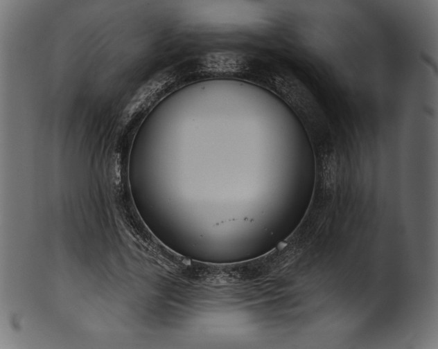 X0000102040731200807181512