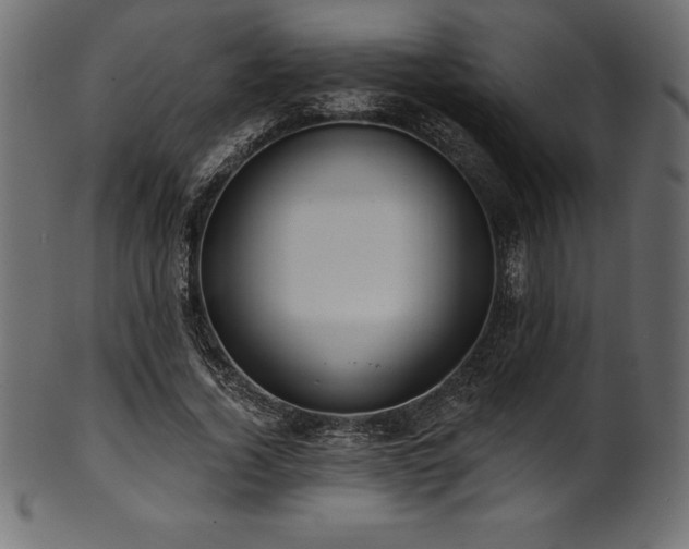 X0000102040732200807181512