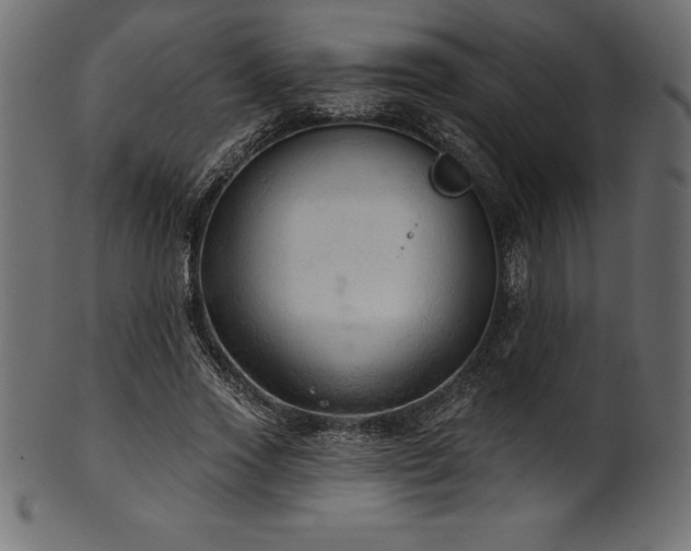 X0000102040733200807181512