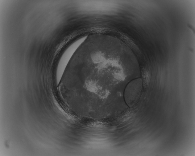 X0000102040734200807181512