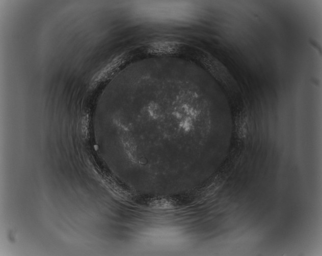 X0000102040735200807181512