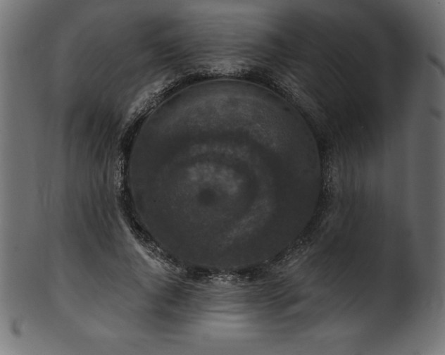 X0000102040736200807181512