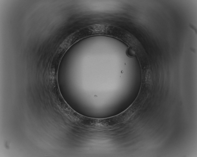 X0000102040737200807181512