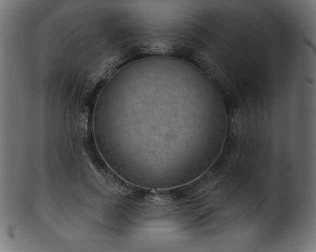 X0000102040739200807181512