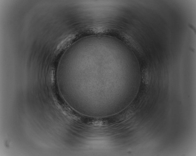 X0000102040740200807181512