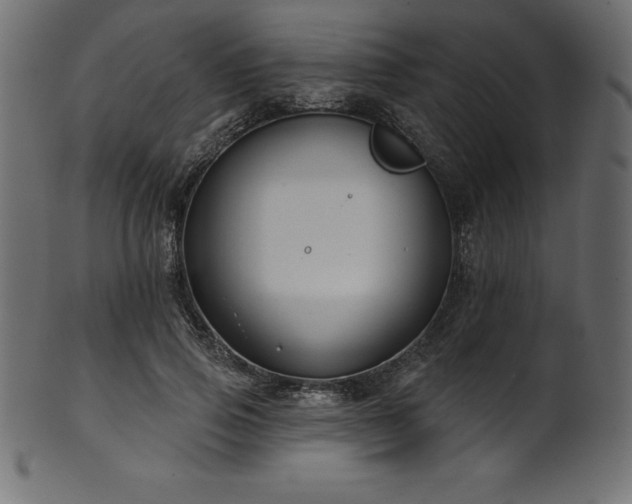 X0000102040741200807181512