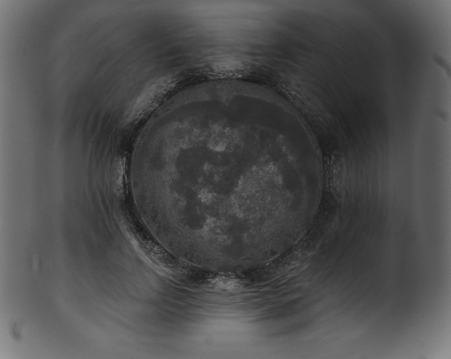 X0000102040742200807181512