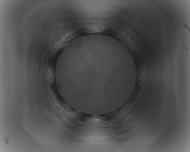 X0000102040743200807181512