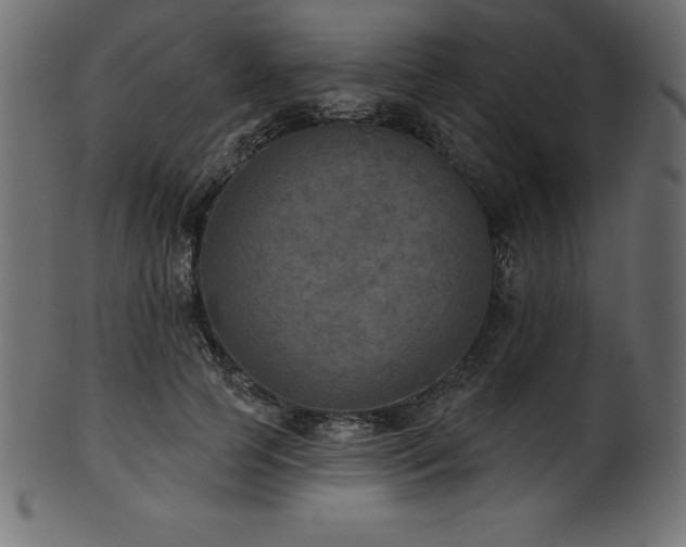 X0000102040745200807181512