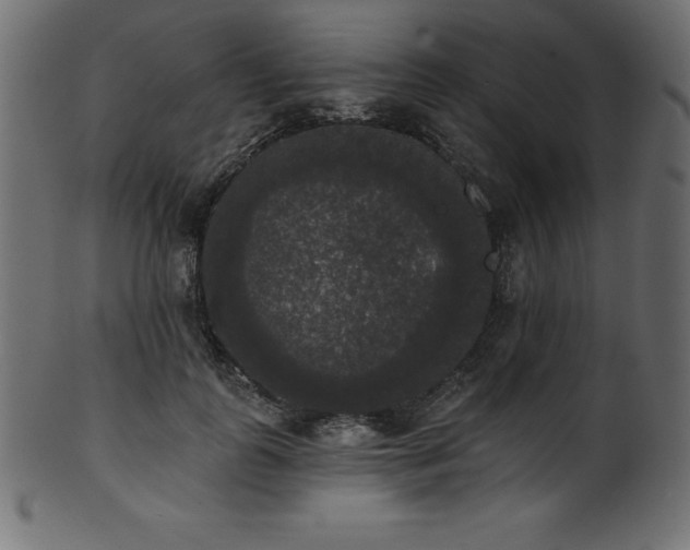 X0000102040747200807181512