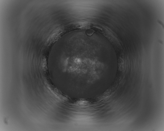 X0000102040748200807181512