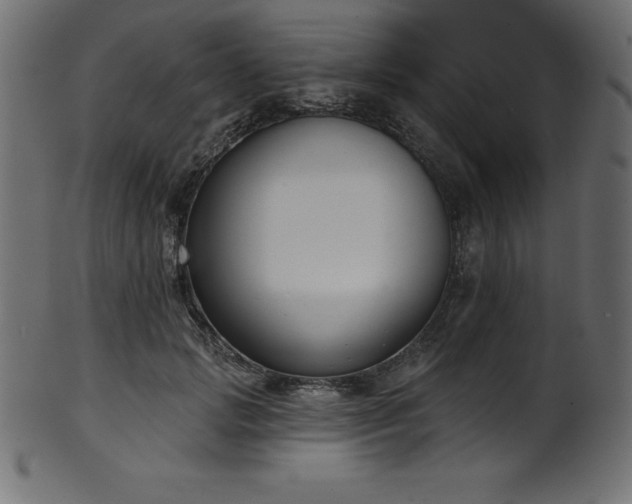 X0000102040749200807181512