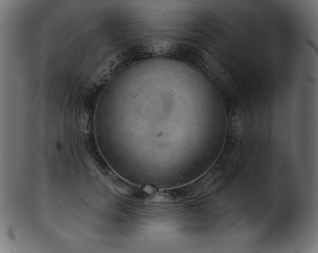 X0000102040750200807181512