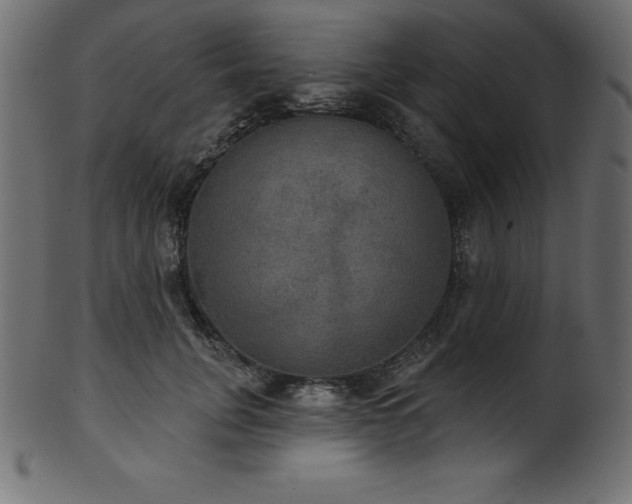 X0000102040751200807181512