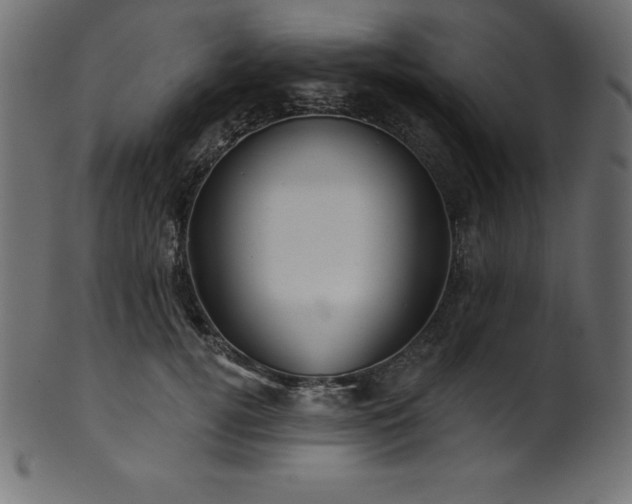 X0000102040752200807181512