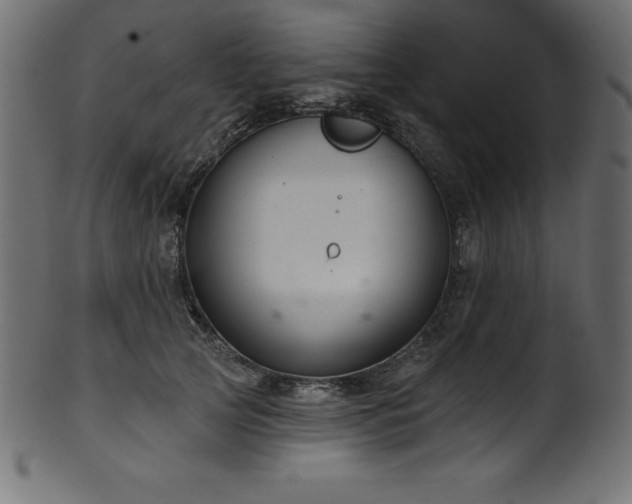 X0000102040753200807181512