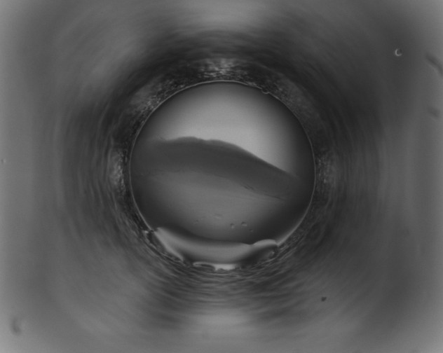 X0000102040754200807181512