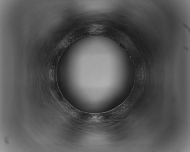 X0000102040755200807181512