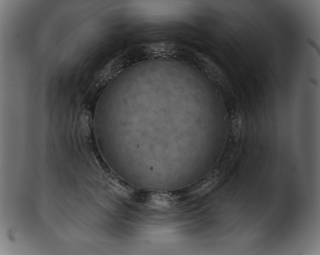 X0000102040757200807181512