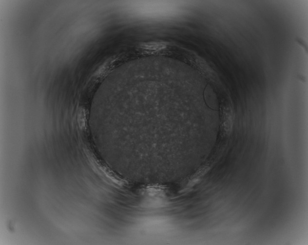 X0000102040758200807181512