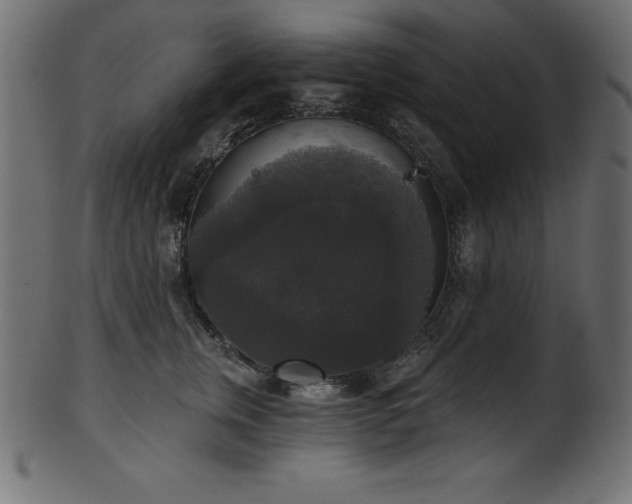 X0000102040759200807181512