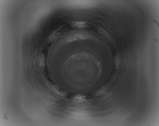 X0000102040760200807181512